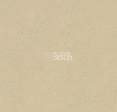 Линолеум Forbo Marmoleum Decibel on Order 372935 mica фото 1 | FLOORDEALER